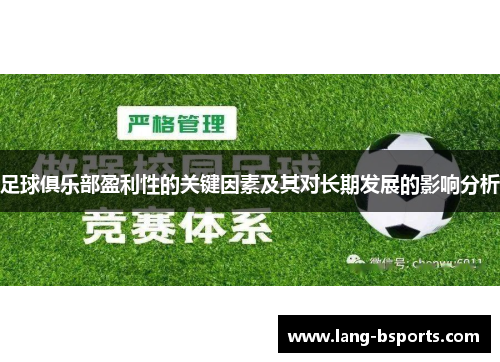 足球俱乐部盈利性的关键因素及其对长期发展的影响分析