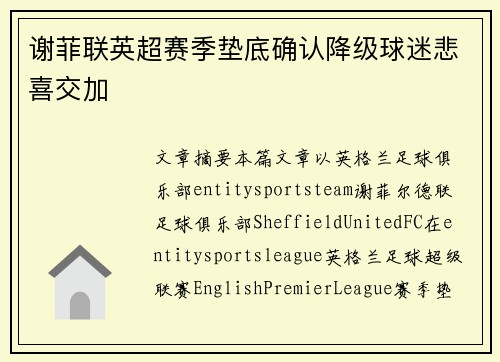 谢菲联英超赛季垫底确认降级球迷悲喜交加